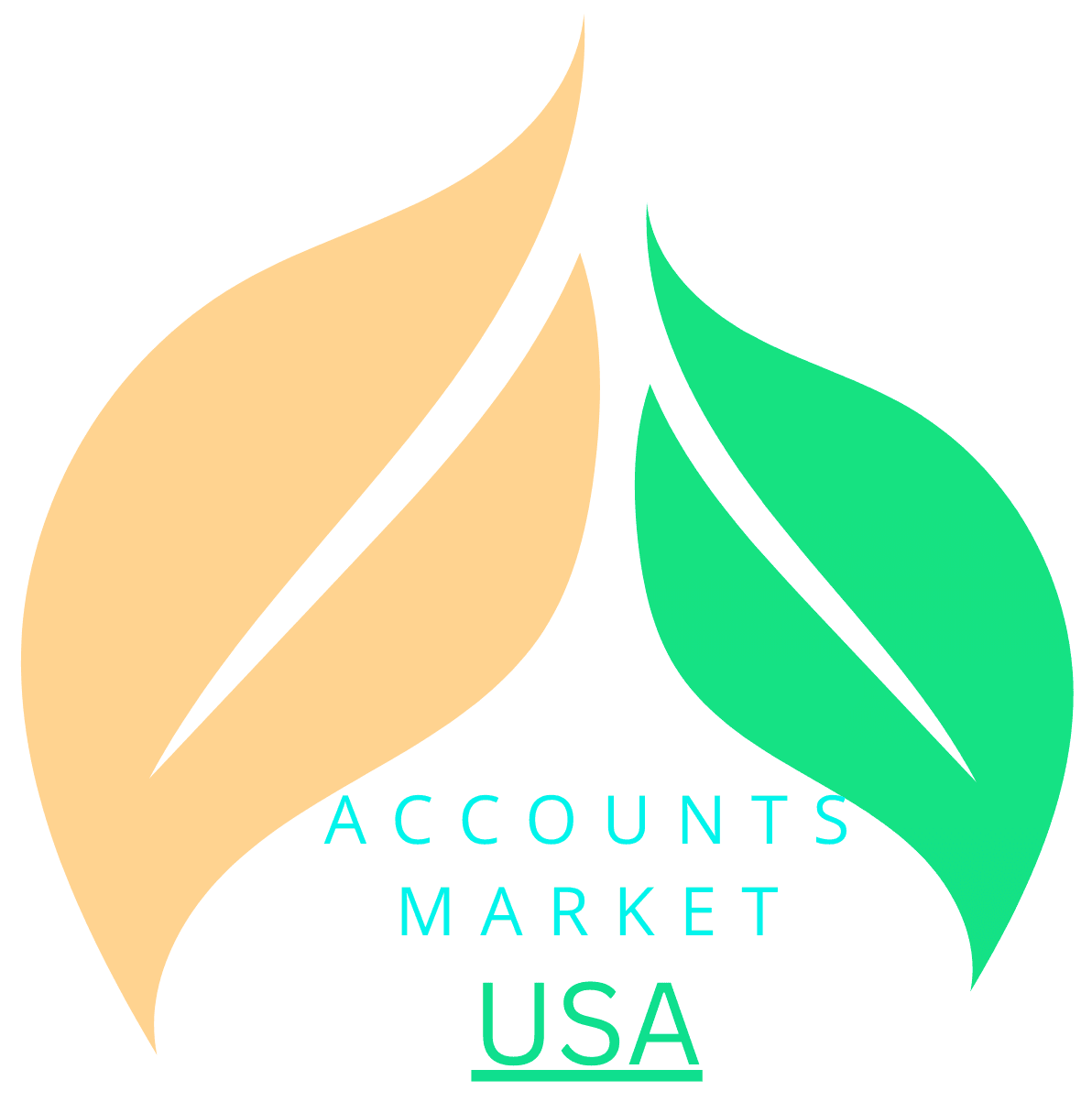 ACCOUNTSMARKETUSA.COM